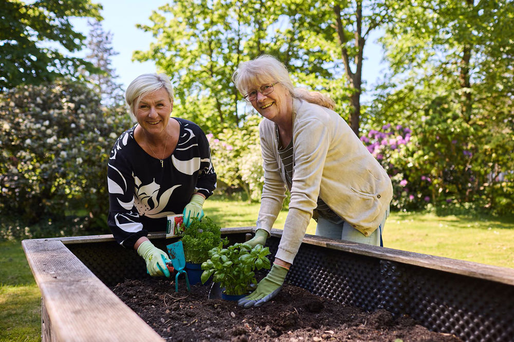 Gemeinsam nachhaltig Mitarbeitende der DLMC bepflanzen gemeinsam ein Hochbeet im Garten.